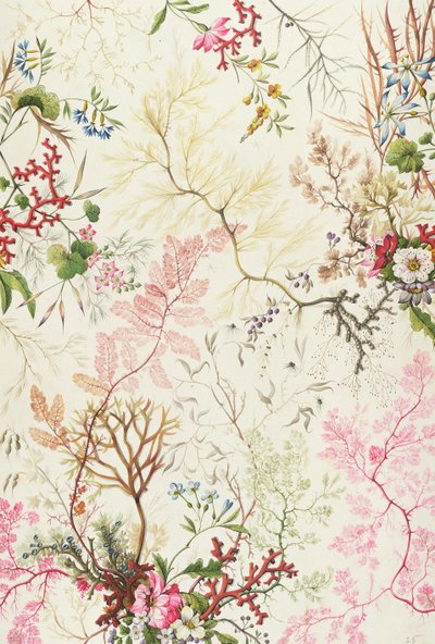 Seaweed Design for Silk Material by William Kilburn
